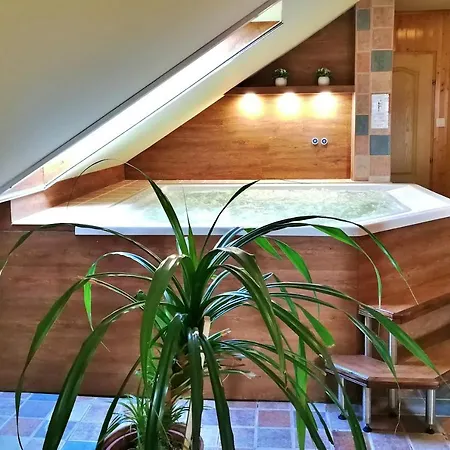 מלון Nelson Hajdúszoboszló