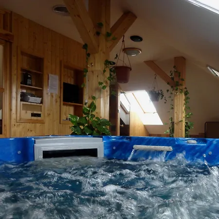 Nelson 4* Хайдусобосло